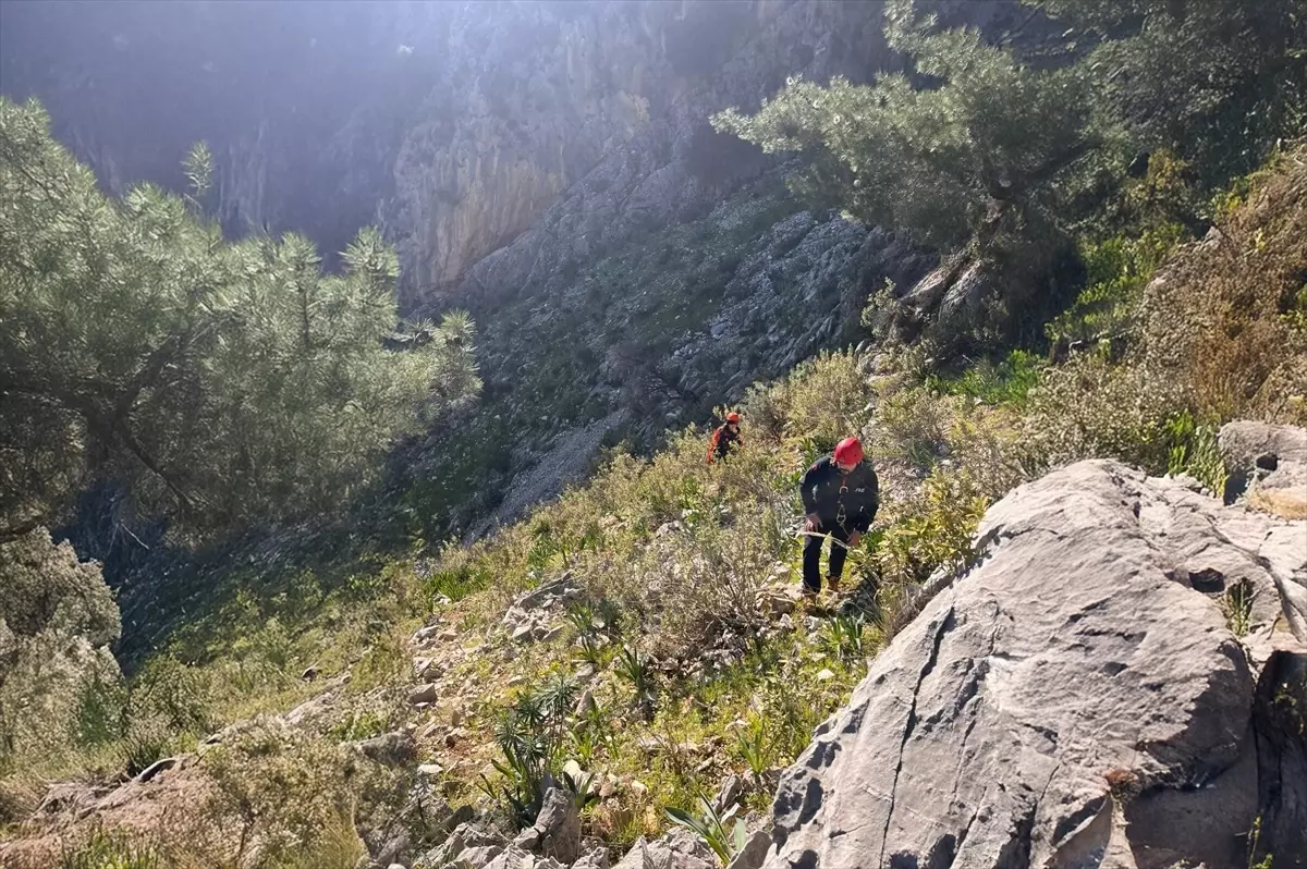 Ula’da Kayalıklarda Mahsur Kalan İki Oğlak AFAD Ekibi Tarafından Güvenli Şekilde Kurtarıldı