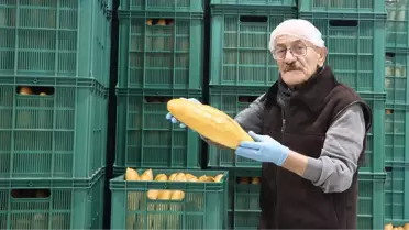 Eğitim sırasında kullanılan hac ritüeli görseli