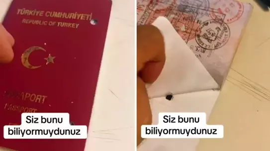 Yırtılmış pasaport ve çip görüntüsü