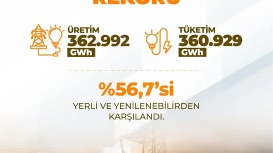 Elektrik üretim tesisleri ve yeni kurulu kapasite
