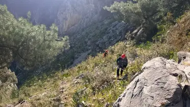 AFAD ekibi kayalıklardan oğlakları kurtarıyor