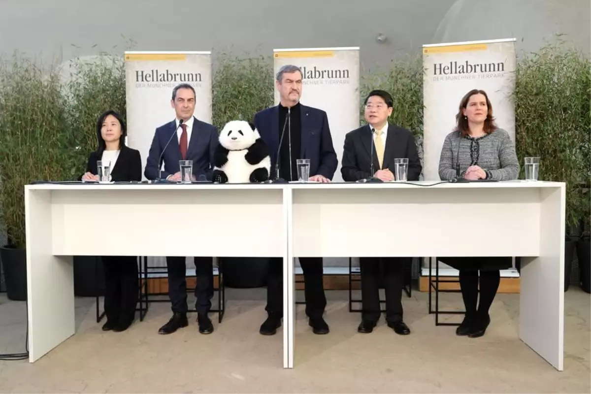 Çin ve Almanya, Münih Hayvanat Bahçesi'ne 10 Yıllık Panda Gönderim Anlaşması İmzaladı