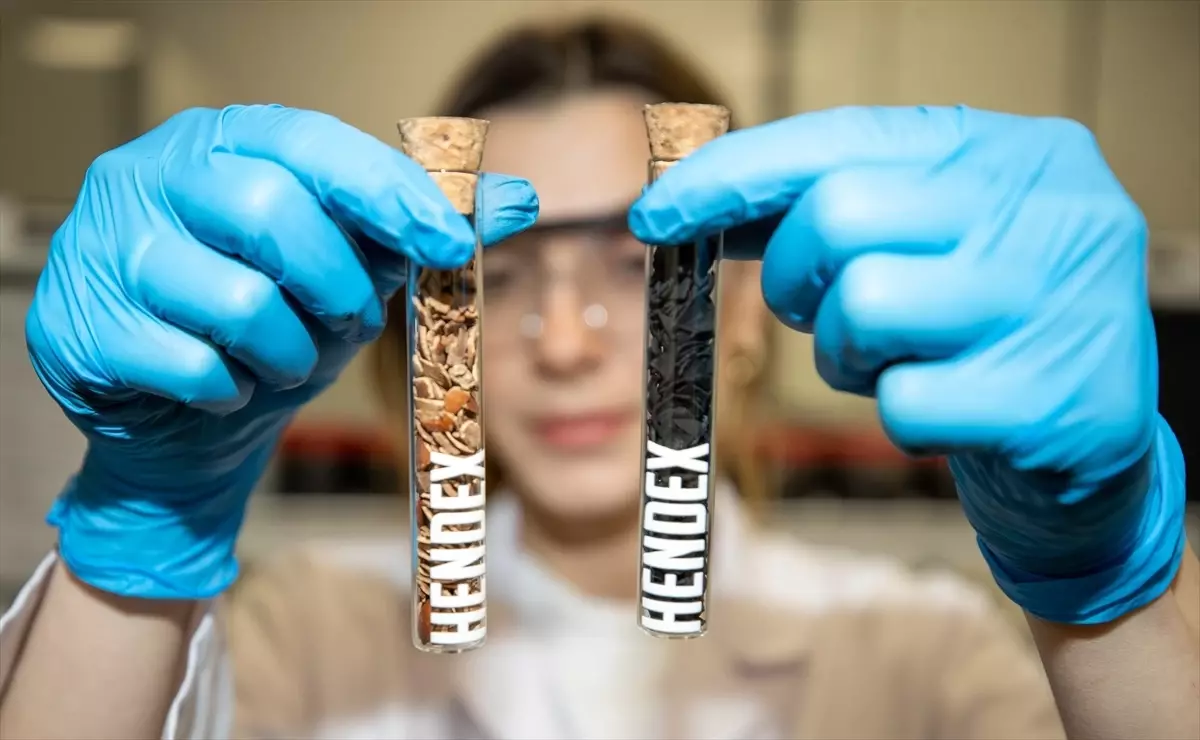 Sakarya’da Fındık Kabuklarından Aktif Karbon Üretimine Başlandı