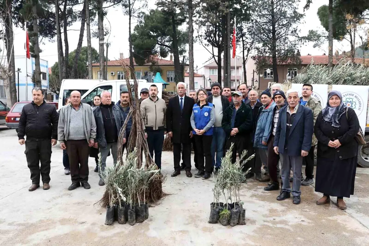 Ula’da Tarımsal Çeşitlilik İçin Zeytin ve Ceviz Fidanı Dağıtımı