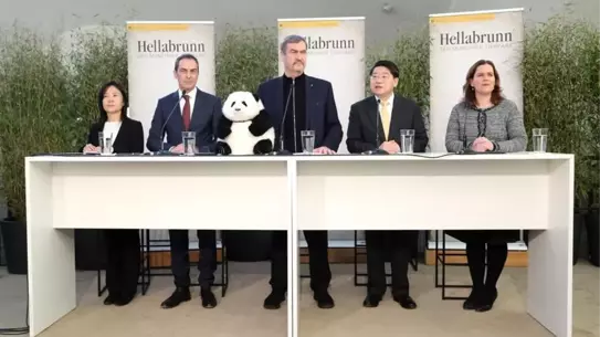 Münih Hayvanat Bahçesi'nde panda sergisi