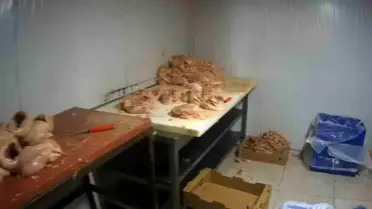 Denetim sırasında çekilen fotoğraf