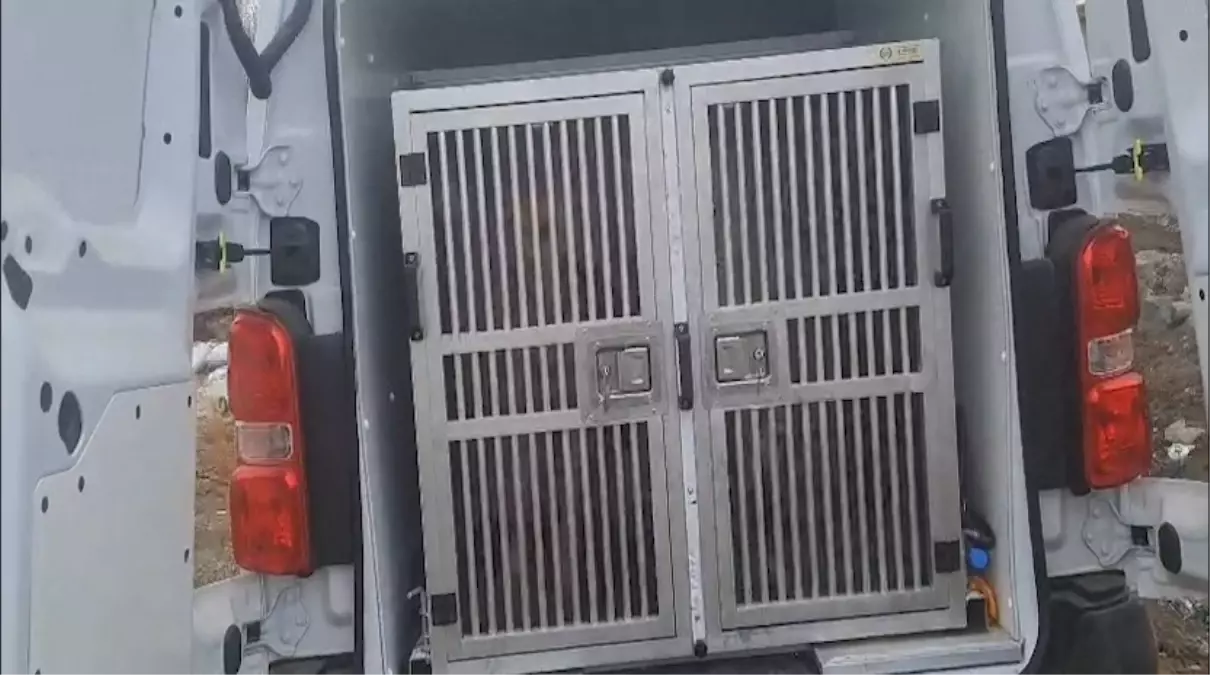 Diyarbakır Çınar’da Zihinsel Engelli Kadın Nimet Kılıç Aranıyor