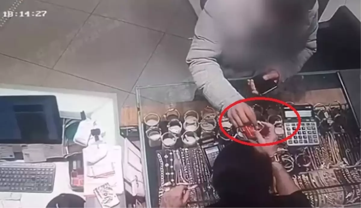 Kayseri’de 182 Bin TL’lik Kedilere Mama Siparişi Dolandırıcılığı Çözümledi