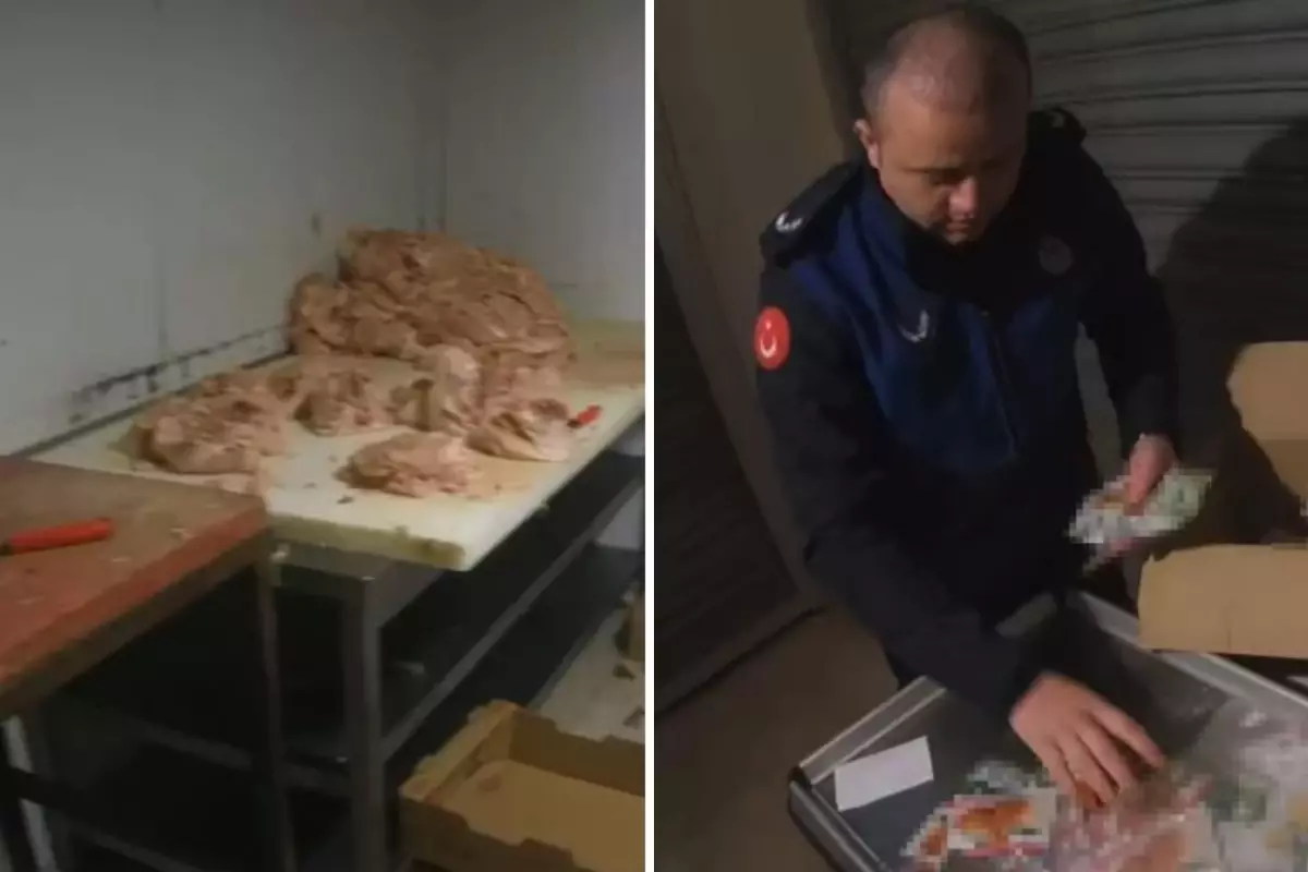 Çayırova’da Ruhsatsız Tavuk Tesisi Mühürlendi: Hijyen İhlalleri ve Son Kullanma Tarihi Geçmiş Ürünler Tespit Edildi