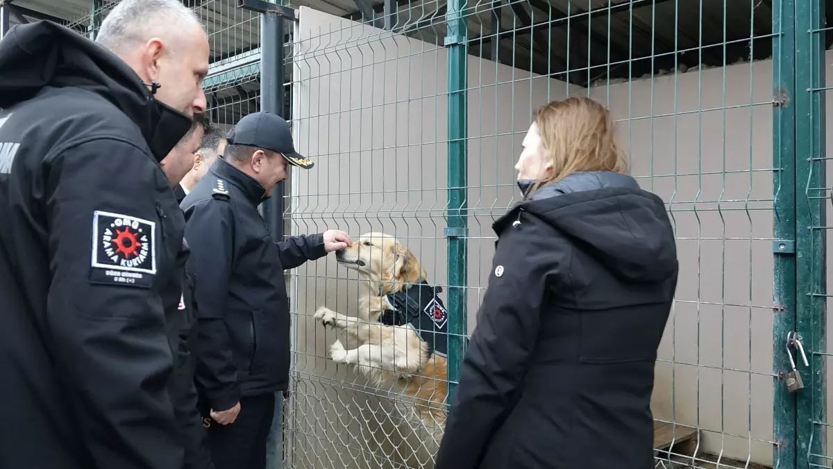 Samsun Emniyet’ine Katkı: Belçika Malinois Pars Görev Köpeği Olarak Göreve Başladı