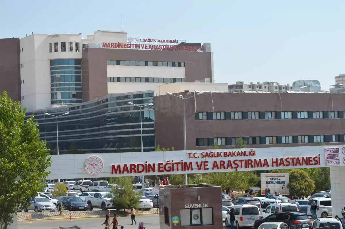 Midyat’ta 4 Yaşındaki Nazlı’nın Sokak Köpekleri Saldırısı Sonucu Ağır Yaralanması