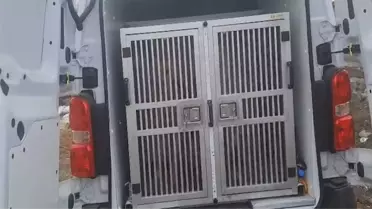 Arama ekipleri Çınar bölgesinde