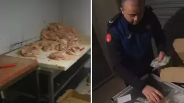 Çayırova’da Ruhsatsız Tavuk Tesisi Mühürlendi: Hijyen İhlalleri ve Son Kullanma Tarihi Geçmiş Ürünler Tespit Edildi