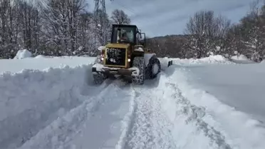 Ordu yükseklerinde yoğun kar yağışı