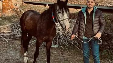 Kaza anındaki hafif ticari araç