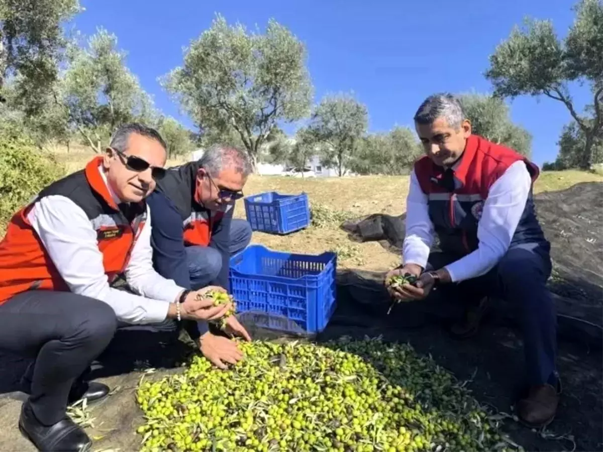 Aydın’da 2025 Tarım Denetimlerinde 3.600’dan Fazla İşlem ve 6,7 Milyon TL Cezalar