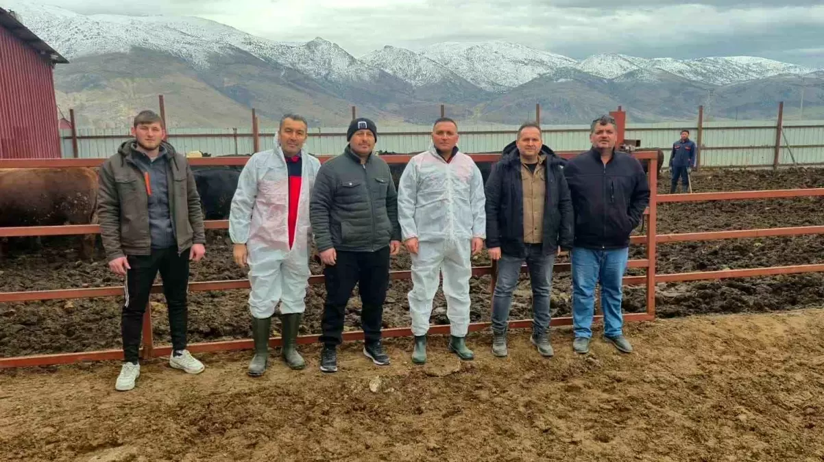 Dinar’da İthal Hayvan Besiciliği Üzerine Denetim Sonuçları