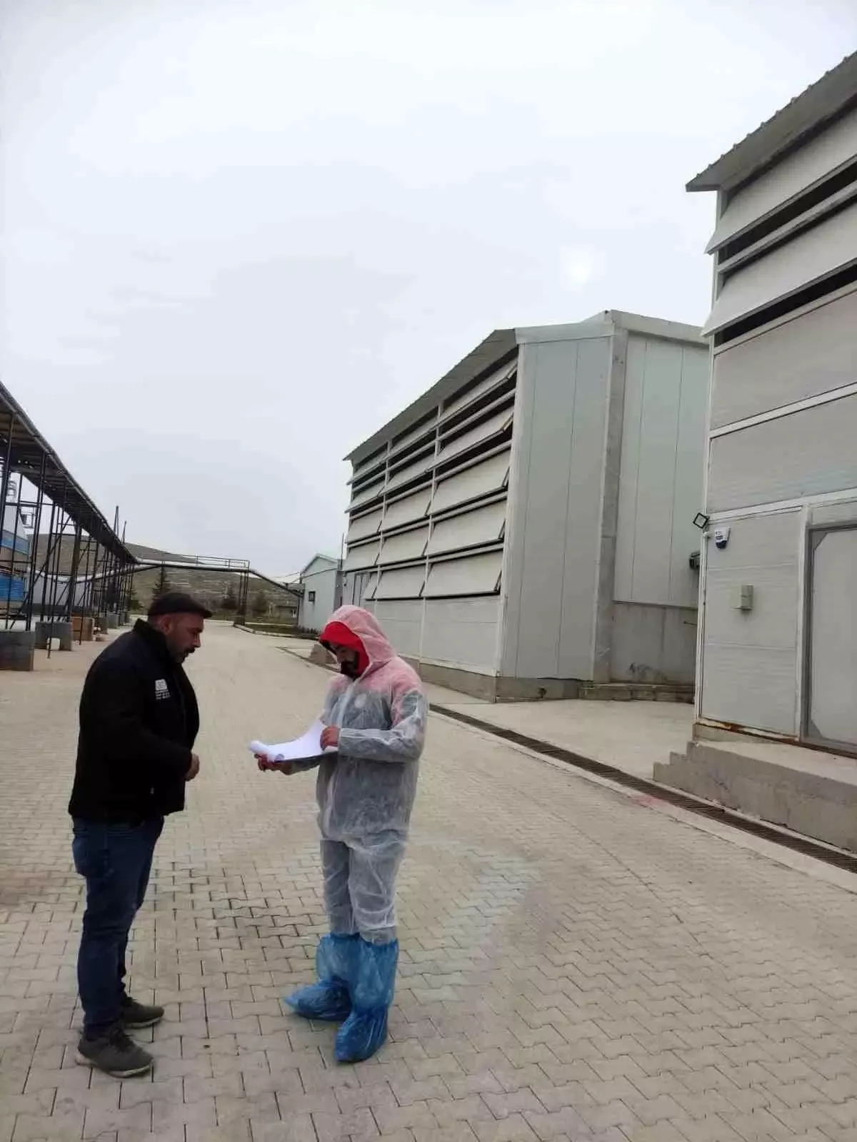 Bolvadin'de Kanatlı Hayvan İşletmelerinde Olumlu Denetim Sonuçları