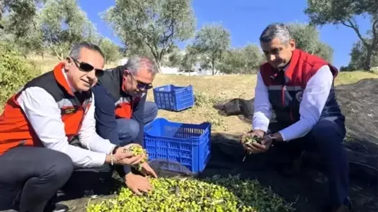 Aydın’da 2025 Tarım Denetimlerinde 3.600’dan Fazla İşlem ve 6,7 Milyon TL Cezalar