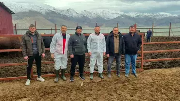 Denetim sırasında görüntüler