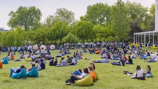 2026 THE Sıralamasında Türkiye'nin Dört Üniversitesi İlk 500'de