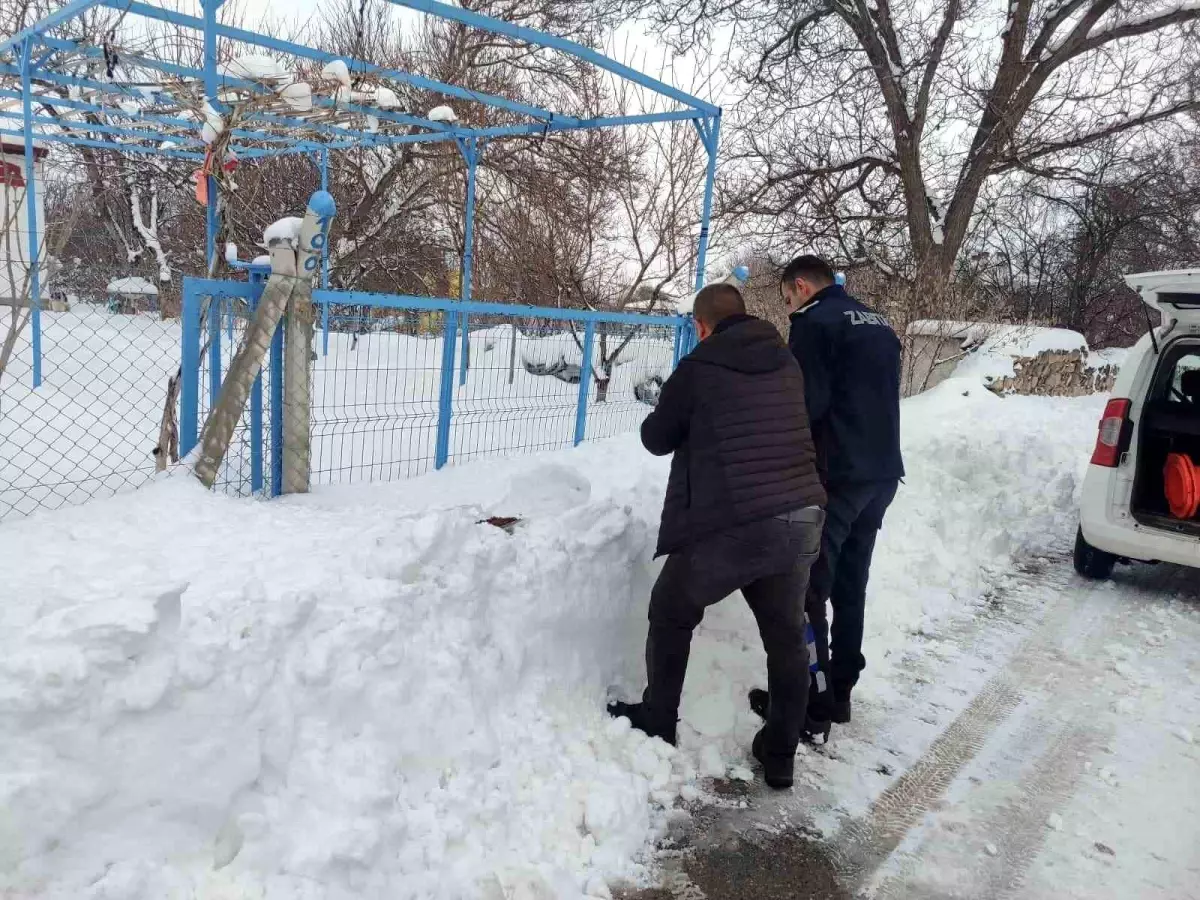 Bünyan Belediyesi Kış Aylarında Sokak Hayvanlarına Mama Dağıttı