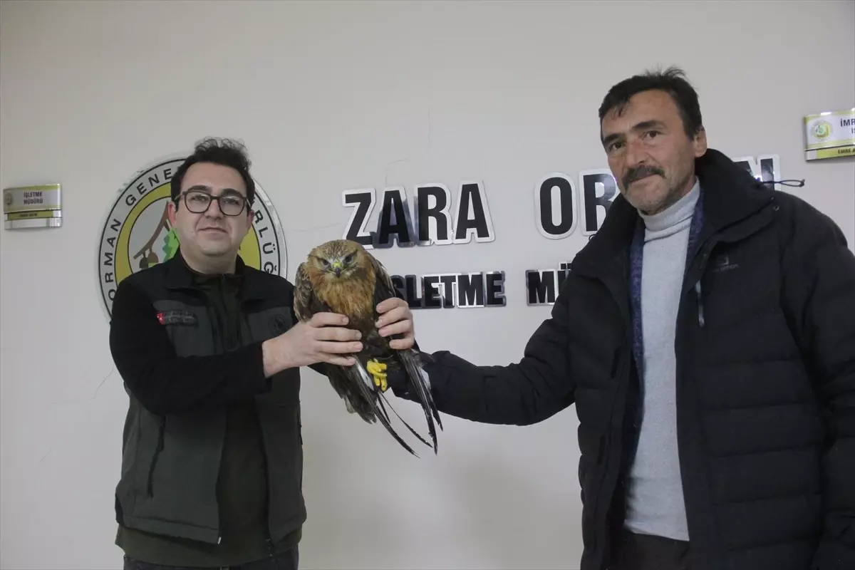 Zara'da Kızıl Şahin'e Yardım Eli Uzanan Esnaf Akif Mutlu