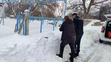 Sokak hayvanları için dağıtılan mama paketleri