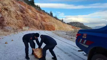 Jandarma ekiplerinin Harmankaya Kanyonu'nda çalışması