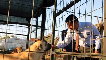 Muğla hayvan bakımevi iç mekan fotoğrafı