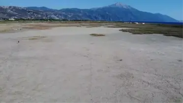 Milleyha Kuş Cenneti'nde su birikintileri ve kuşlar