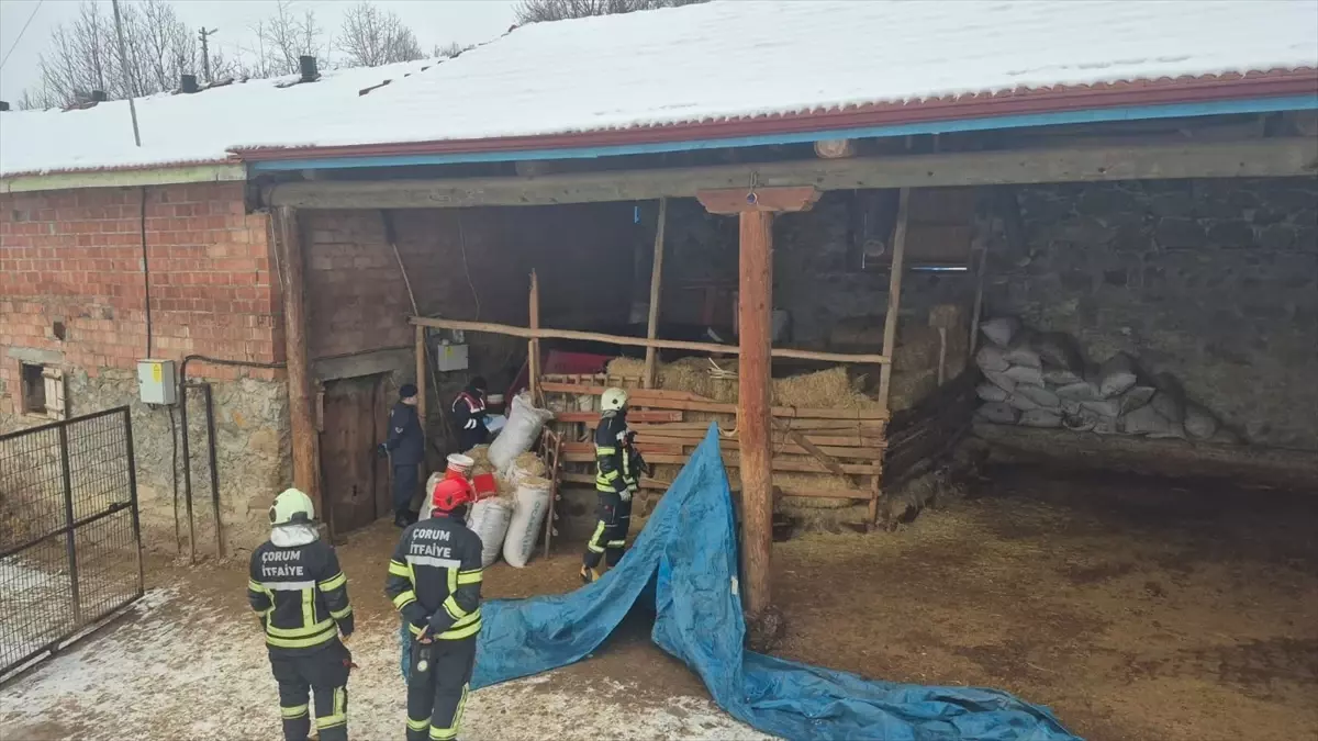 Çorum Değirmendere Köyünde Yem Kırma Makinesi Kazası: İlyas Bilgin Hayatını Kaybetti