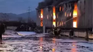 Yangının etkilediği bölge