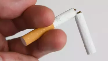 Toker Ergüder: Türkiye'de Bir Paket Sigara 300 TL Olmalı