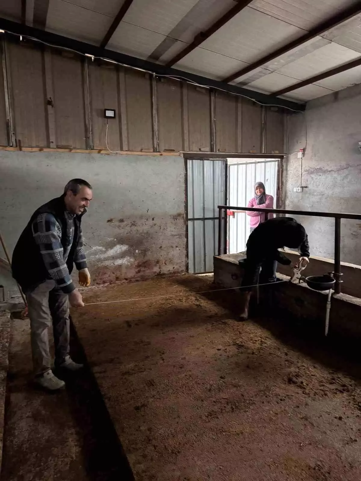 Bilecik’in Gölpazarı İlçesinde Büyükbaş Hayvancılık Kapasite Denetimleri Başladı