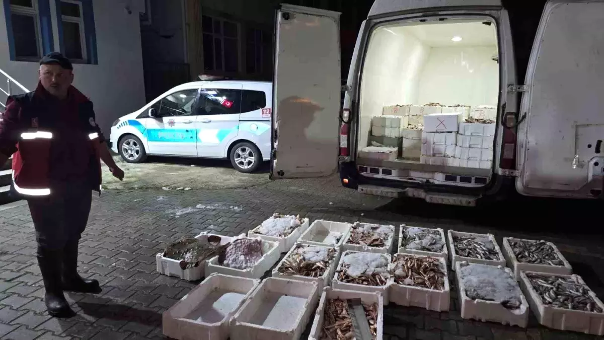 Kastamonu Çatalzeytin'de 1,5 Ton Yasa Dışı Balık Ele Geçirildi