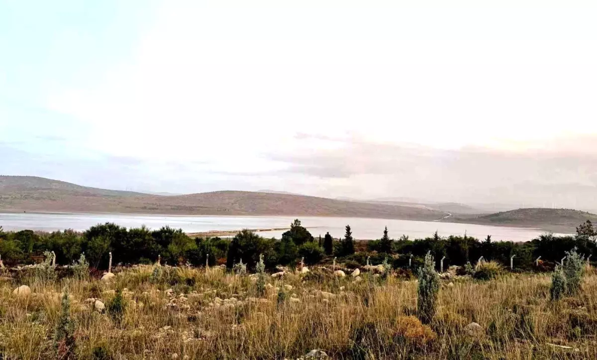 Kutlu Aktaş Barajı'nda Son Yağışların Ardından Su Seviyesi %15,5'e Çıktı