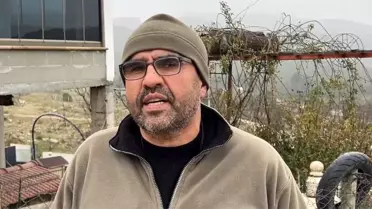 Saldırıya uğrayan köpek