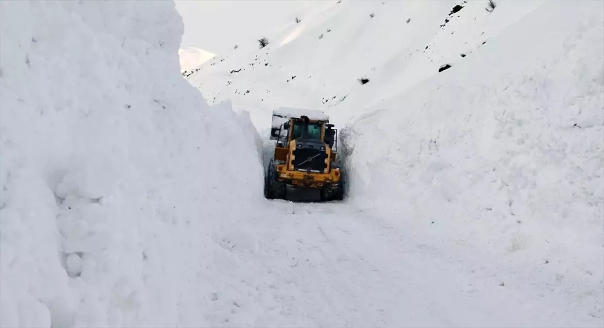 Yüksekova’da Çığ Temizleme Çalışması Tamamlandı, Mezra Yolu Açıldı
