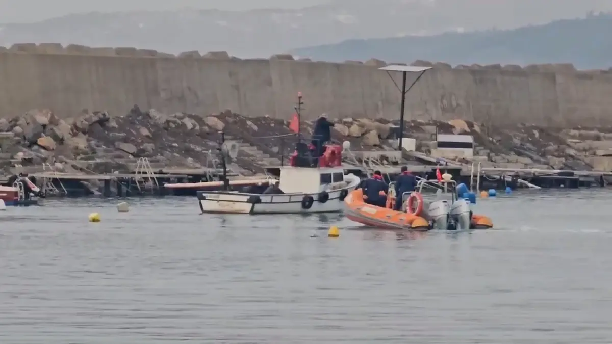 Zonguldak'ta Balıkçı Barınağında Mahsur Kalan Yunus Kurtarıldı