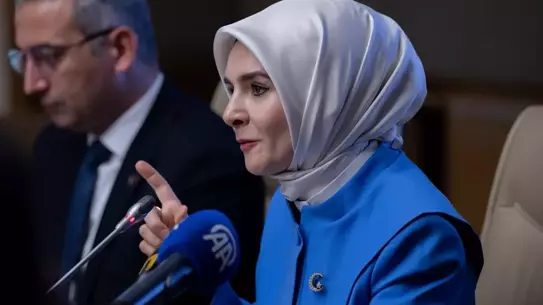 Evlat edinme sürecinde ailelerin karşılaştığı zorluklar