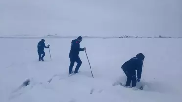 Arama ekiplerinin sahadaki çalışması