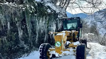 Karla kapalı köy yolları