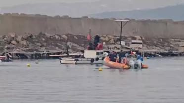 Sahil Güvenlik ekipleri yunusu kurtarıyor