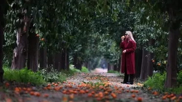 Turunç Yolu'nda çekilmiş detaylı fotoğraf