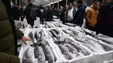 Marmara’da torik avı yapılan tekne