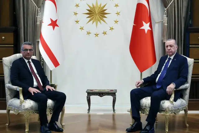 Proje detay görseli