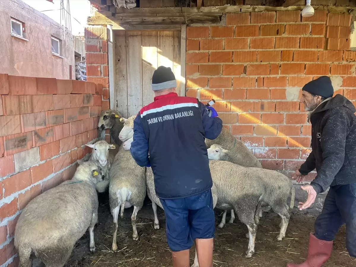 İpsala Kaymakamı Ömer Sevgili, İbriktepe Köyü Halk Eğitim Merkezi'ni İnceledi