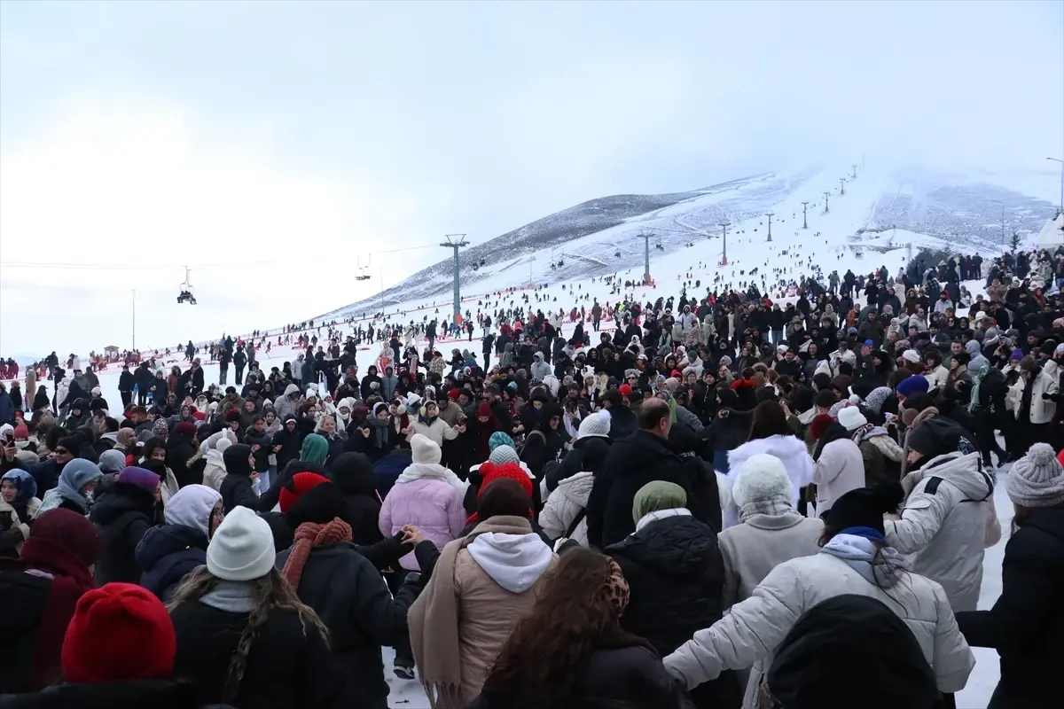 Ladik'te Akdağ Hamsi Festivali'nde 1 Ton Hamsi Coşkusu