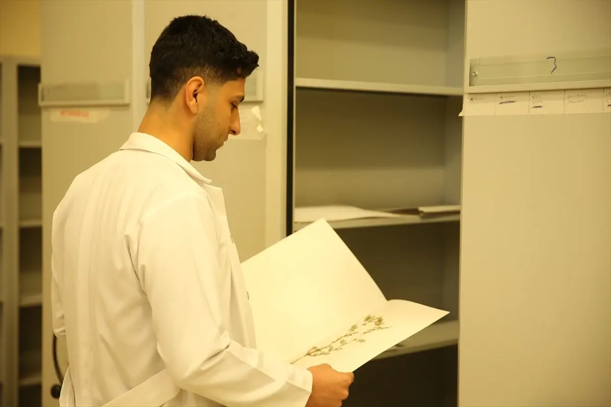 Siirt Üniversitesi Herbaryumu 2000 Bitki Örneğini Tanımlamaya Hazırlanıyor